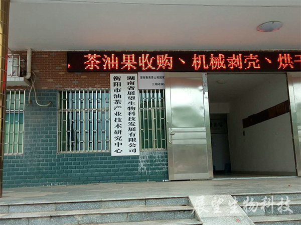 公司实景6 公司实景6