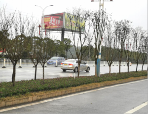 农副产品加工,粮食收购,油料的种植,湖南省金年会生物科技发展有限公司 农副产品加工,粮食收购,油料的种植,湖南省金年会生物科技发展有限公司